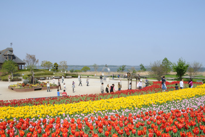 霞ヶ浦総合公園