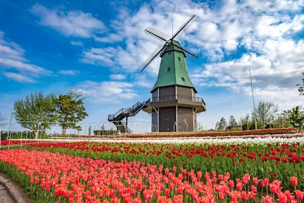霞ヶ浦総合公園
