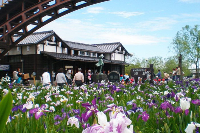 水郷潮来あやめ園