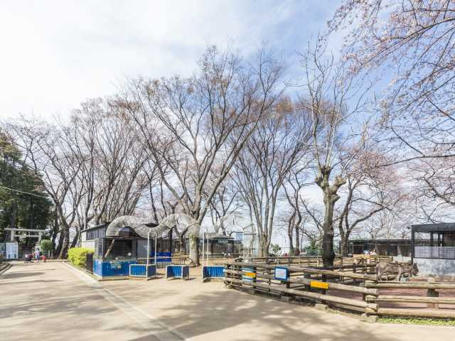 川崎市夢見ヶ崎動物公園