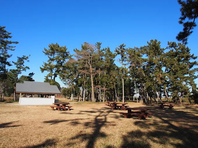 水郷筑波国定公園 浮島園地(和田公園)