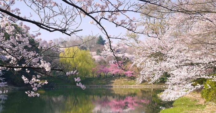 県立三ツ池公園