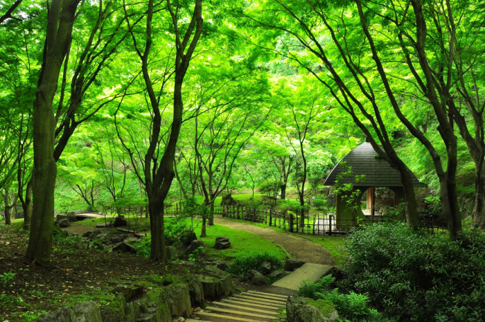 神奈川県立 七沢森林公園