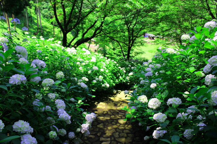 神奈川県立 七沢森林公園