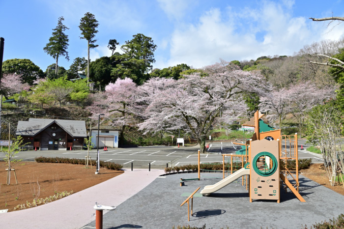 飯山白山森林公園