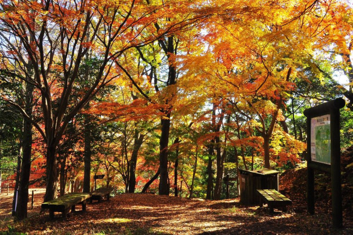 飯山白山森林公園