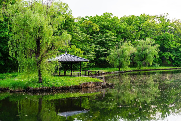 古河公方公園(古河総合公園)