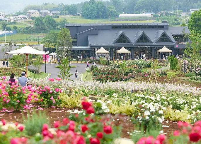 いばらきフラワーパーク