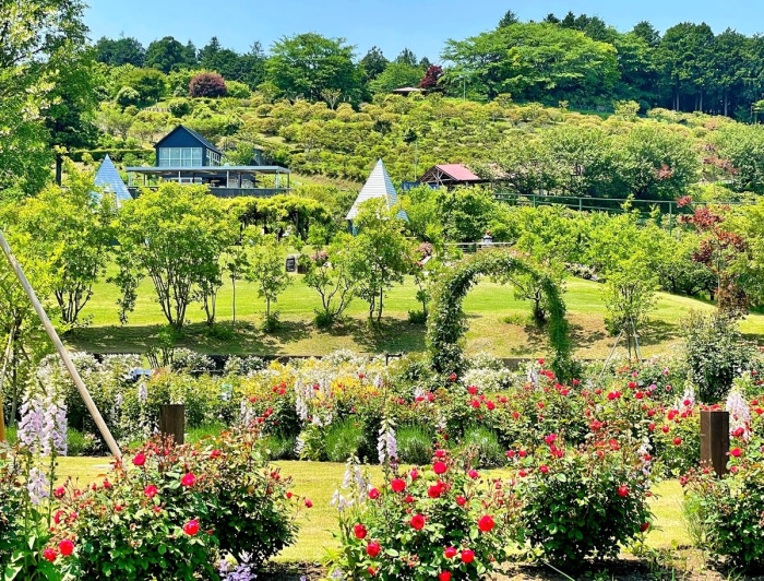 いばらきフラワーパーク