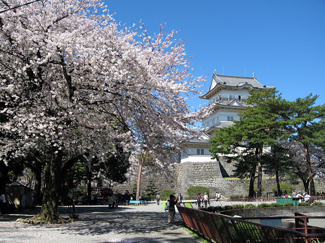 小田原城址公園