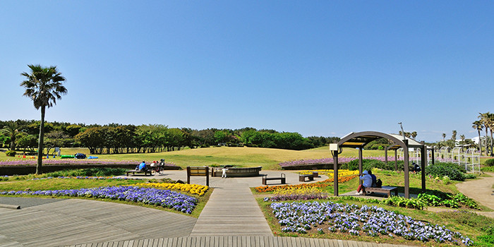 県立辻堂海浜公園