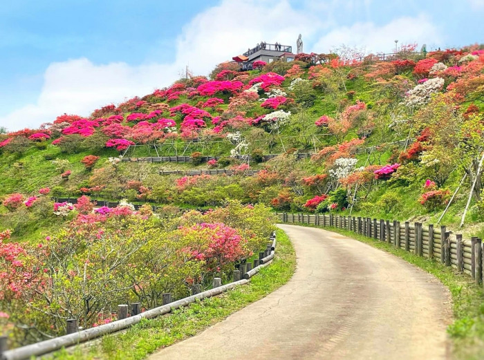 笠間つつじ公園