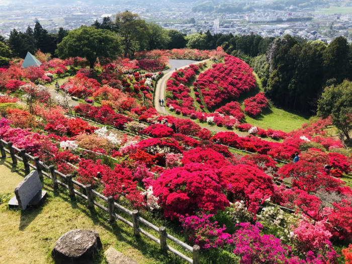 笠間つつじ公園