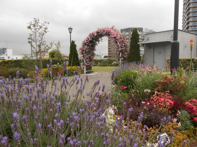 アメリカ山公園