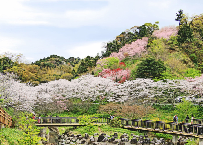 佐久間ダム公園