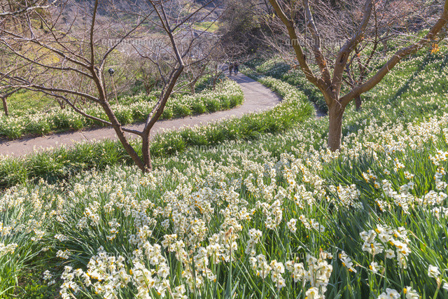 佐久間ダム公園
