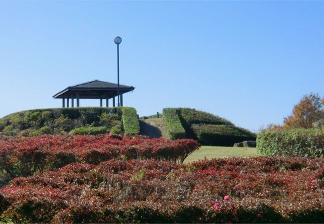 富谷山ふれあい公園
