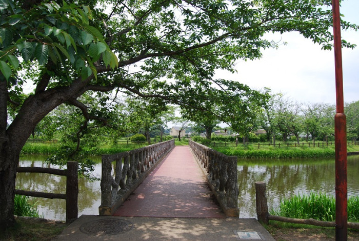 乙戸沼公園