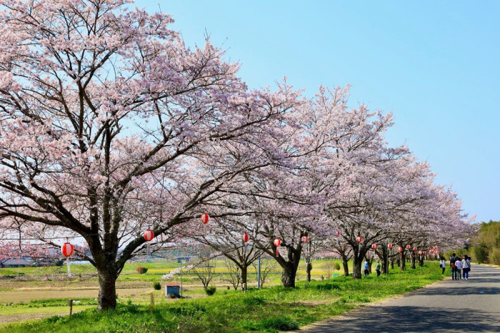 辰ノ口親水公園