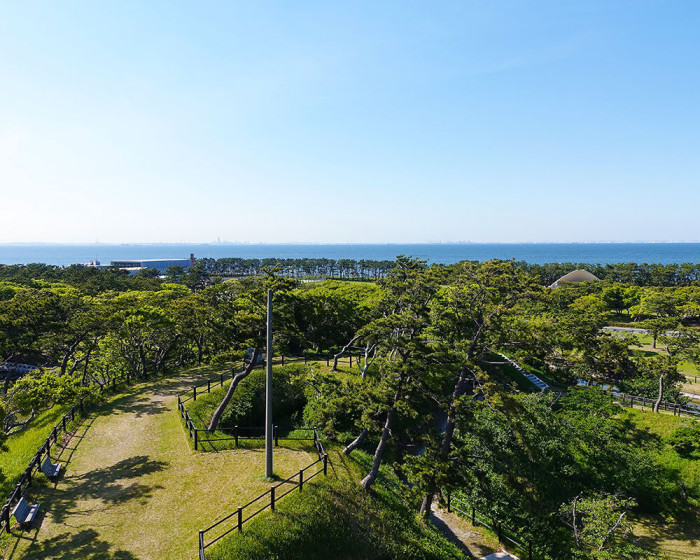 千葉県立富津公園