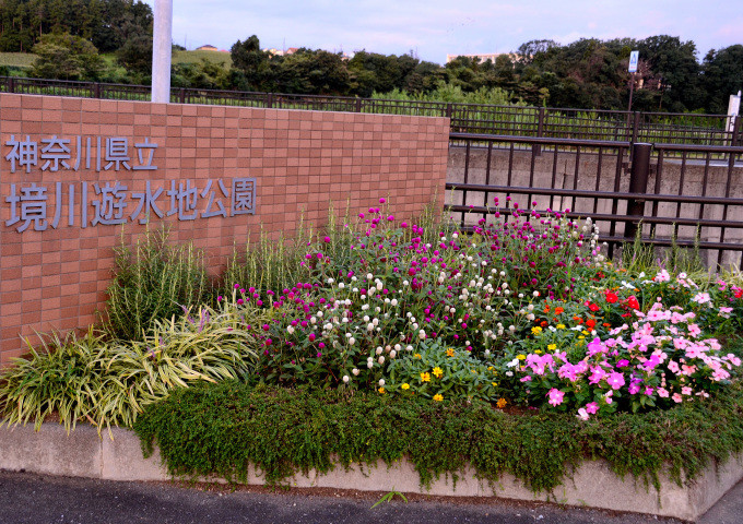 神奈川県立境川遊水地公園