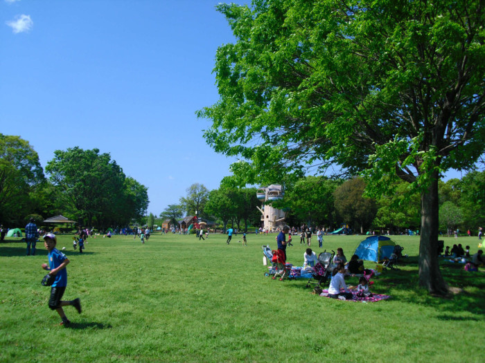 神奈川県立相模原公園