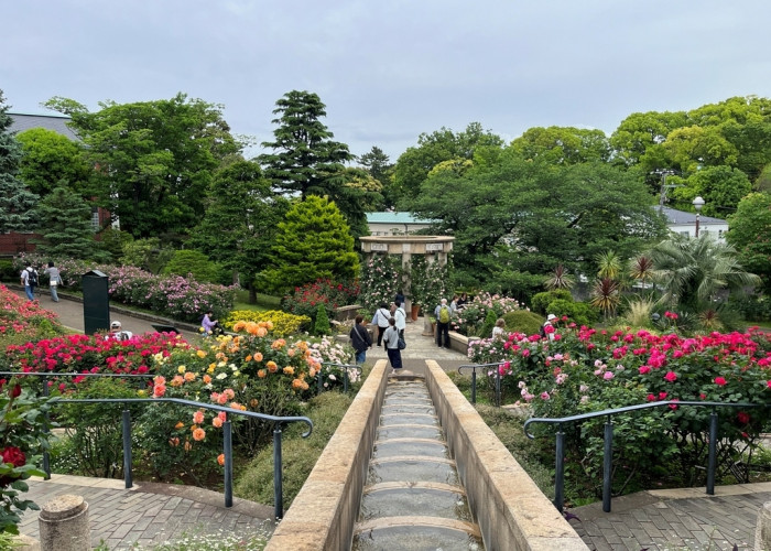 港の見える丘公園