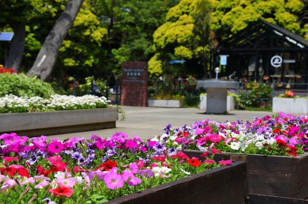 江の島サムエル・コッキング苑