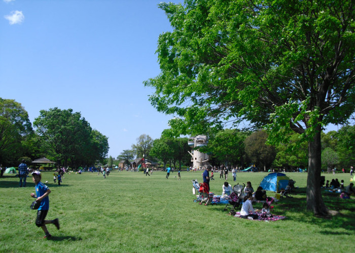 相模原麻溝公園