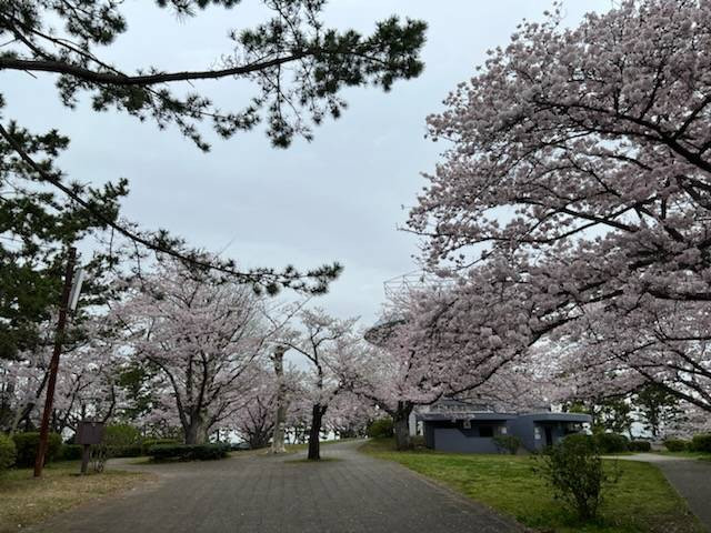 野島公園