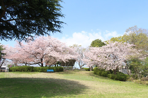浅間台みはらし公園