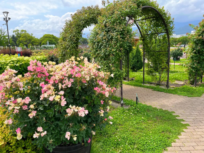 カルチャーパーク