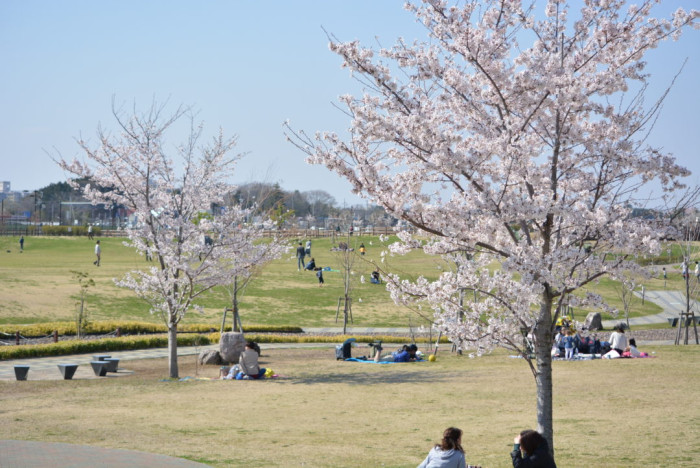 F・マリノス 成城石井パーク