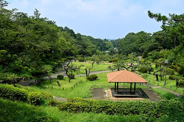大倉山公園