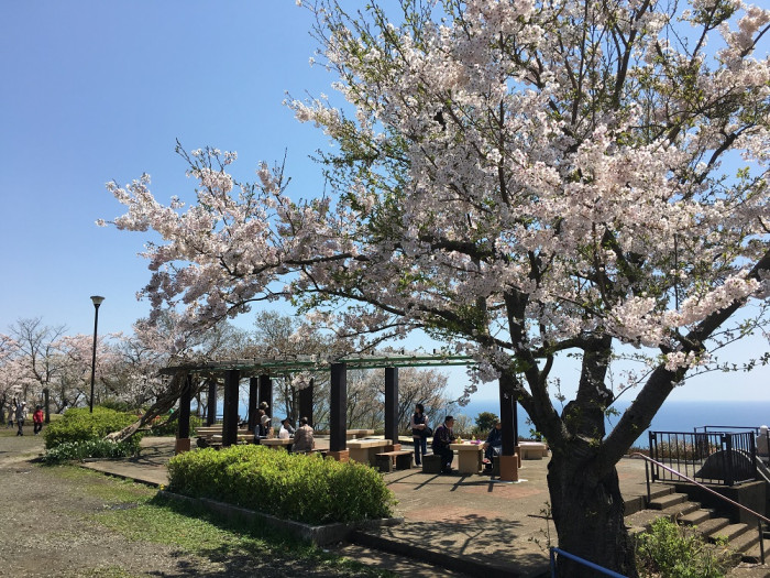 高麗山公園(湘南平)