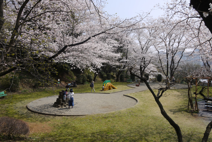 市民の森ふじやま公園