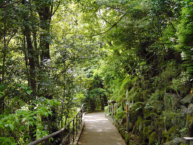 湯河原万葉公園