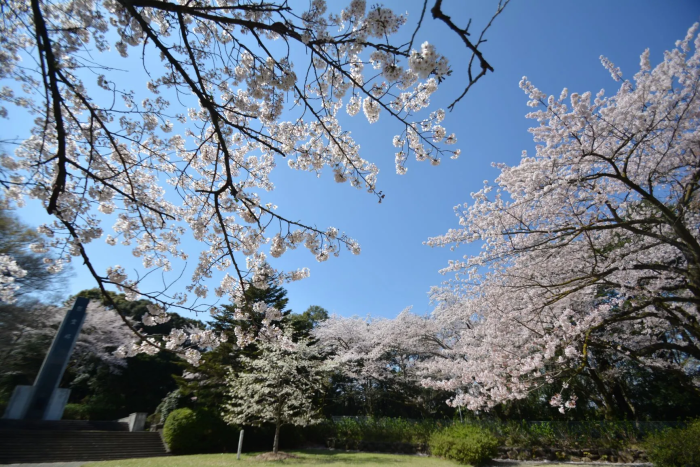 城山公園(海と城の見える丘)