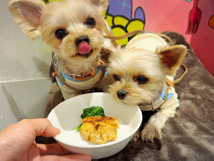 イタリアン割烹COCOMI心味