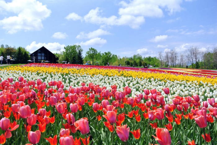 国営滝野すずらん丘陵公園