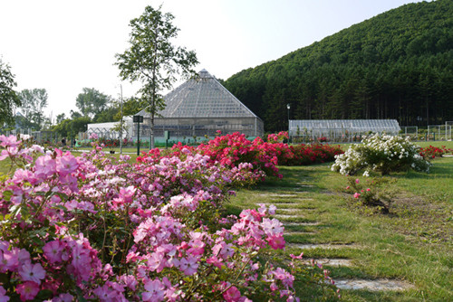 いわみざわ公園