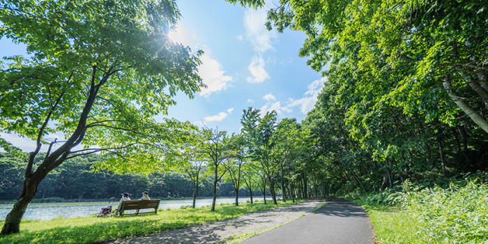 苫小牧市緑ヶ丘公園(金太郎の池)