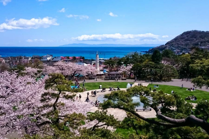 函館公園