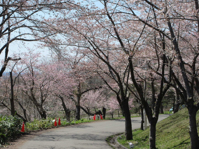 美唄市東明公園
