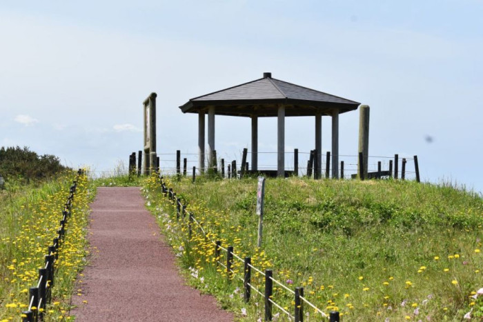 はまなすの丘公園