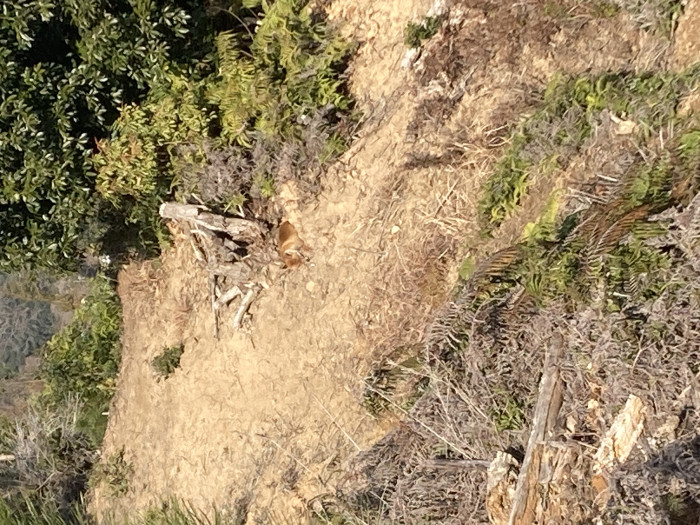 しんちゃんさん