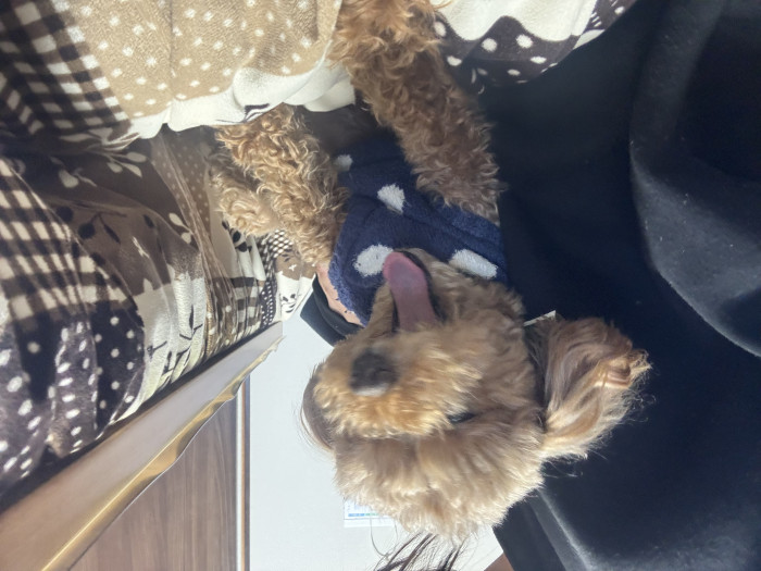 からあげちゃん