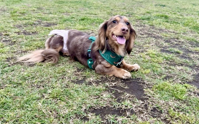 delete666to-pain@yahoo.co.jp