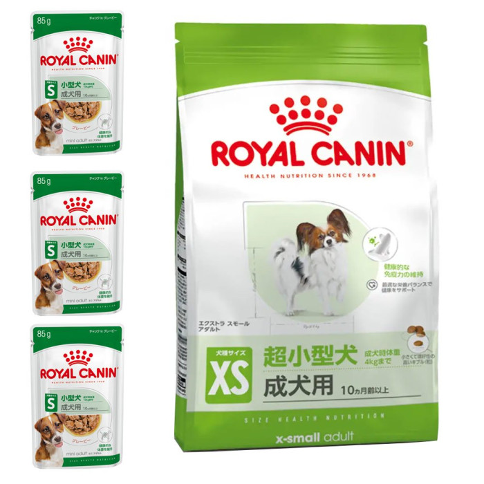 黒犬