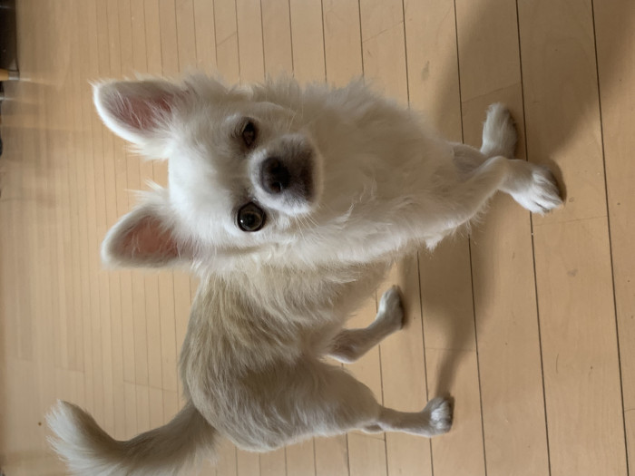 あるくさん